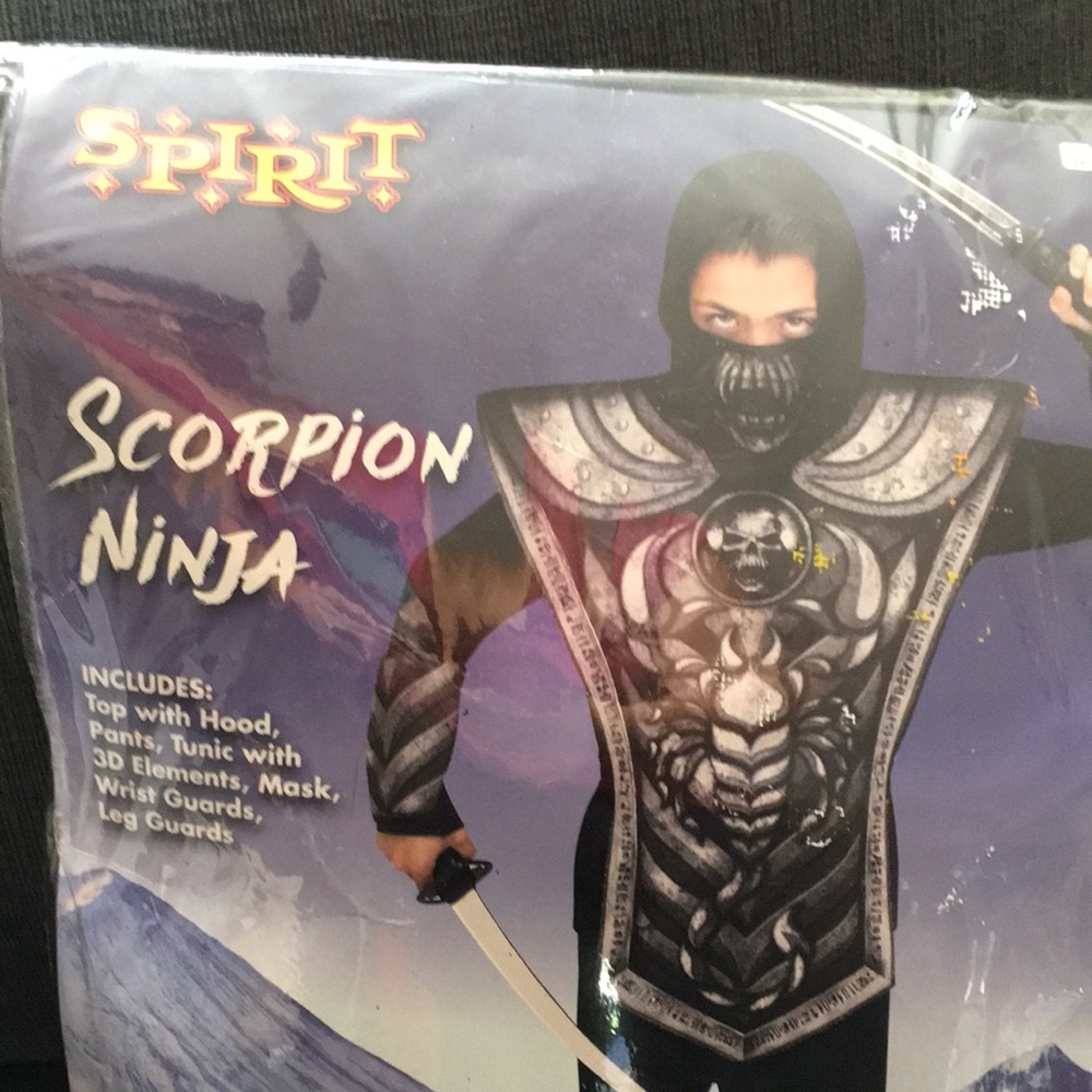Ninja costume